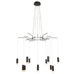 Подвесная люстра Maytoni DAVIDA MOD035PL-12B