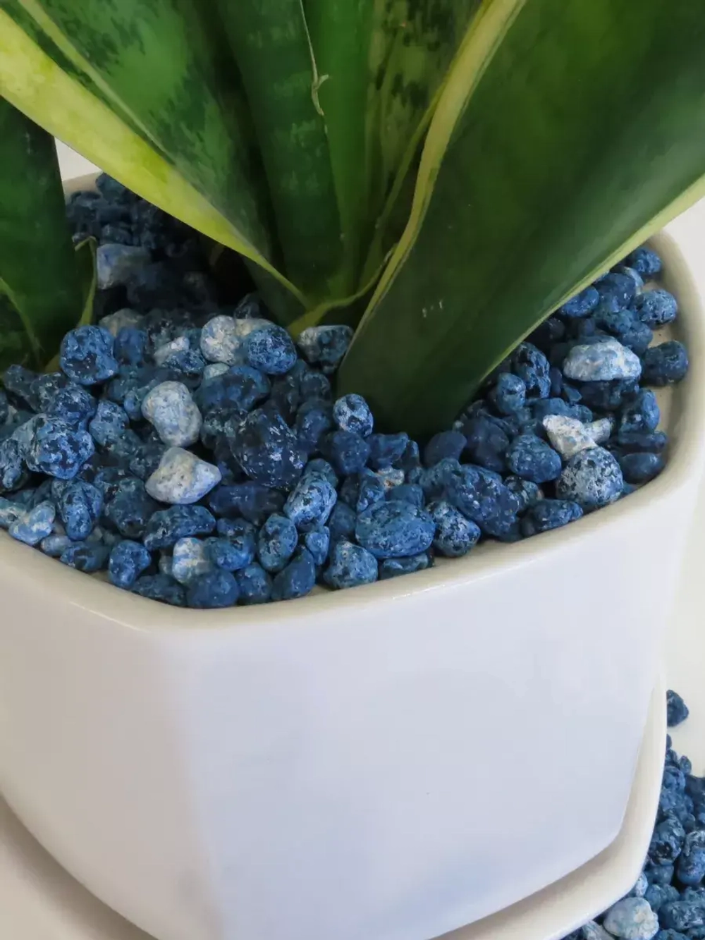 дренаж для цветов и растений микс синий