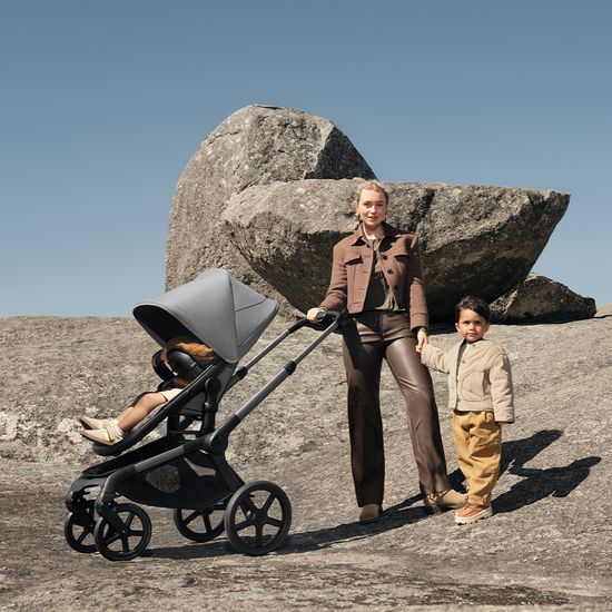 Коляска 2 в 1 Bugaboo Fox 5 Renew complete (Graphite/Moon grey/Moon Grey)