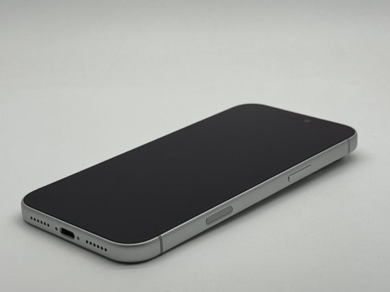 iPhone 17 Pro Max 256Gb Silver 1SIM