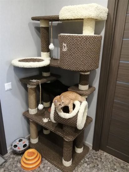 Дом для кота ЛФ-215