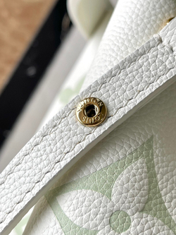 Louis Vuitton NeoNoe BB