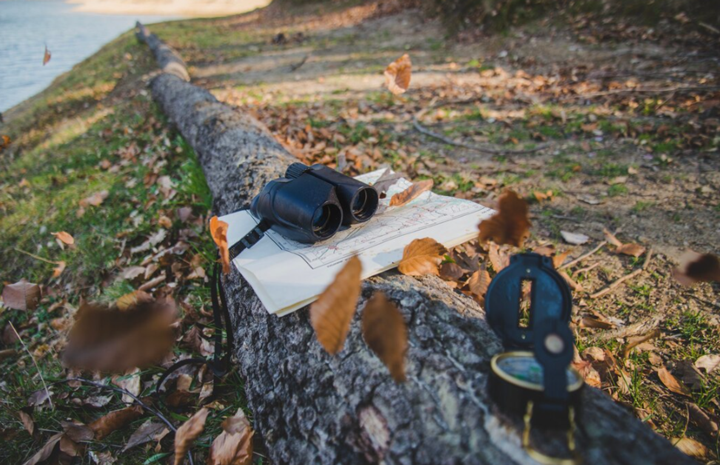 Сезонные особенности охоты на водоплавающую дичь: календарь охотника и тактика