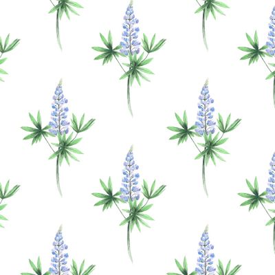 Цветы люпины акварель