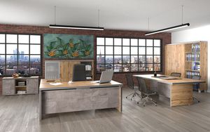 Кабинет руководителя Турин