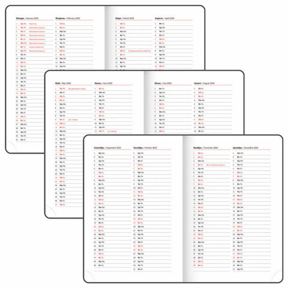 Ежедневник датированный 2025 А5 138x213 мм BRAUBERG "Rainbow", под кожу, черный, 115803