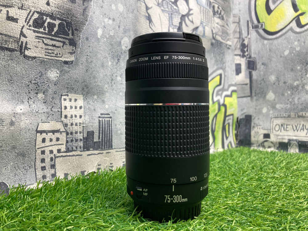 Canon EF 75-300mm 4-5.6 III