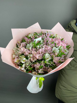 Букет Альстромерия XL (43 ветки)