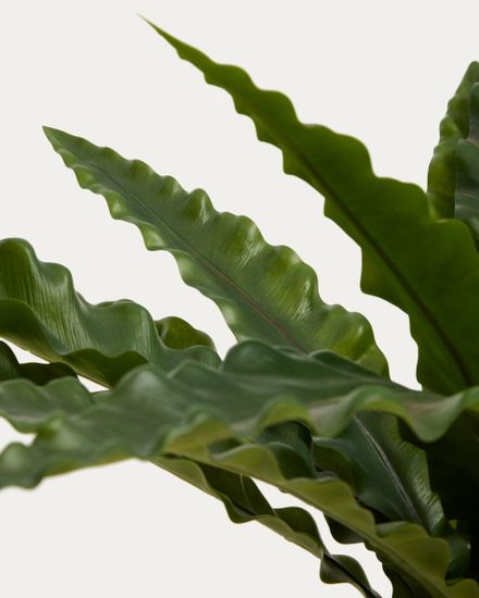 Искусственное растение Neottopteris в белом горшке 70 см