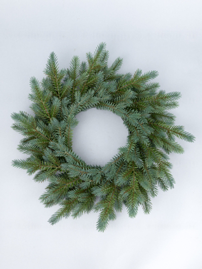 Венок рождественский Голубая Ель