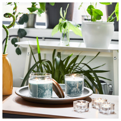 IKEA BUKETTAPEL  (ИКЕА БУКЕТТАПЕЛ)  -  Ароматическая свеча стеклянная с покр/2 кн, бергамотом и кедром/ бледно-зеленая, 70 ч.