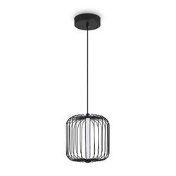Подвесной светильник Freya Sabi FR6131PL-L13B