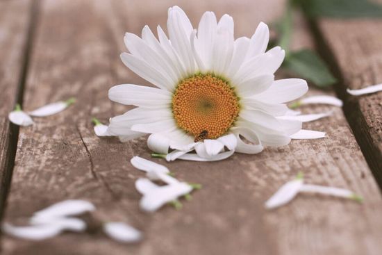 Пережить влюбленность