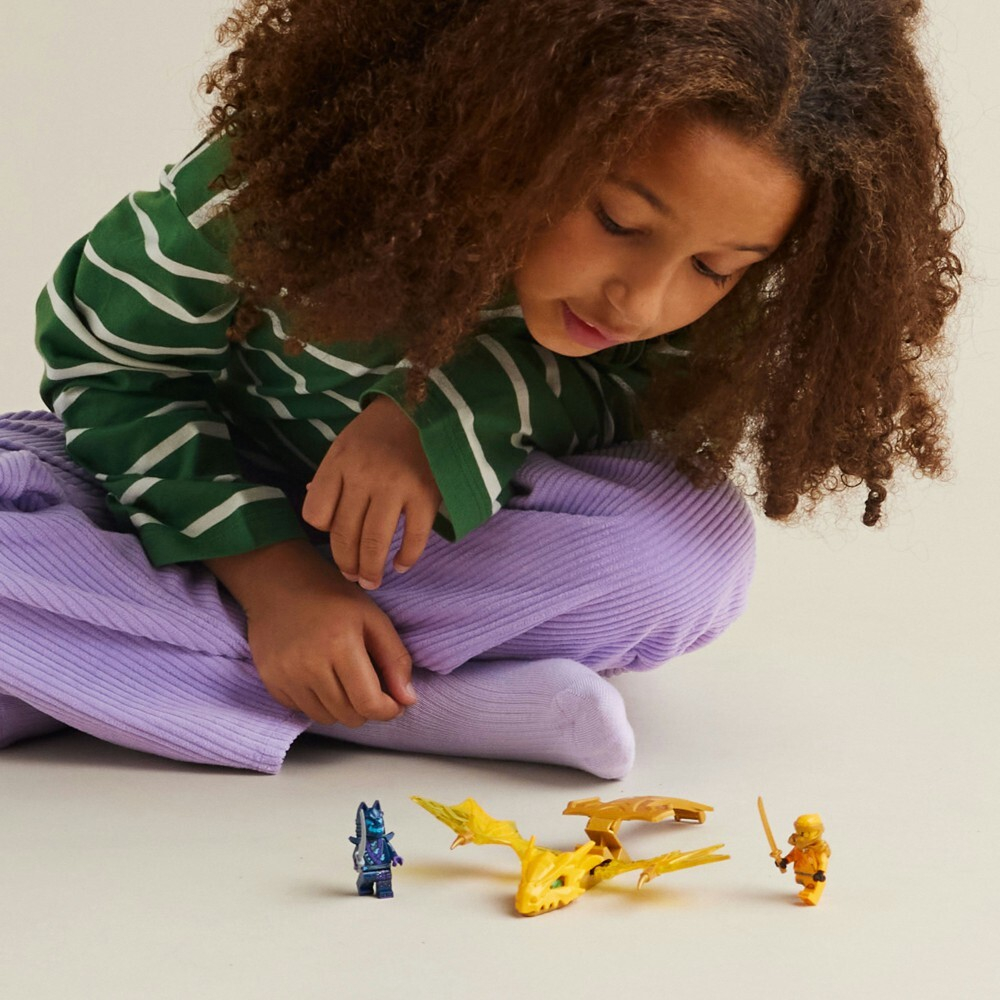 LEGO Ninjago - Атака восходящего дракона Арин 71803 / артикул   71803  / GTIN 5702017565538