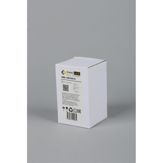 Светильник встраиваемый-накладной OML-100709-01