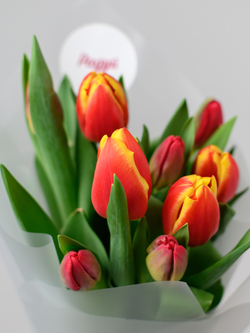 Тюльпаны микс