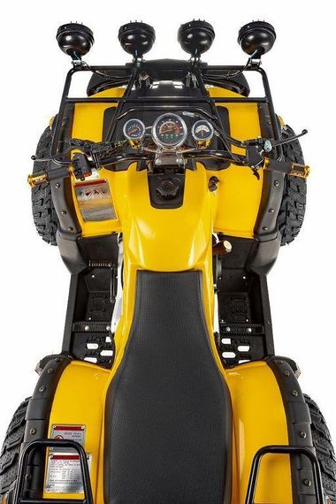 Квадроцикл RAPTOR Max Pro 250 (жёлтый/чёрный) (2024)