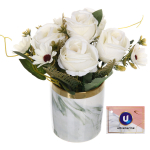 Цветочная композиция «Шарм» 15*21см зеленый 9.5см в керамическом горшке HL-10