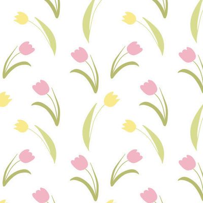 Желтые и розовые тюльпаны на белом фоне