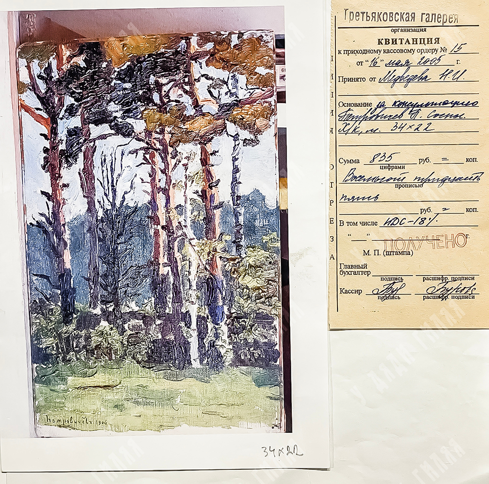 Петровичев Пётр Иванович. Сосновый лес. 1906 г. Холст на картоне, масло