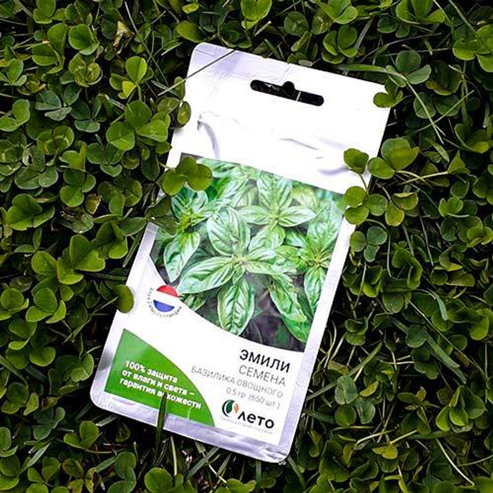 Семена базилика овощного Эмили, Enza Zaden