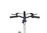 Maxiscoo "7BIKE" 20'' M700 (2024)