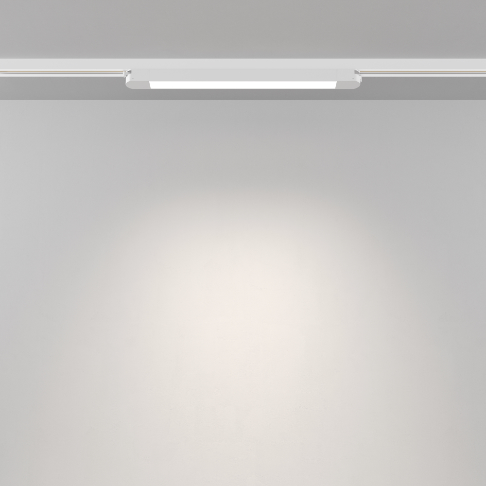 Трековый светильник Maytoni Unity Basis TR000-1-12W4K-W_1