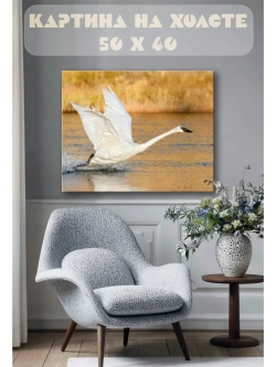 Картина на стену 40 X 50 Лебедь