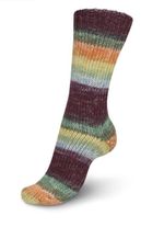 Пряжа носочная (150 гр.) Schachenmayr Regia 8 ниток, 75% шерсть, 25% полиамид