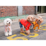 666 PA-TS Толстовка "PUPPY ANGEL"