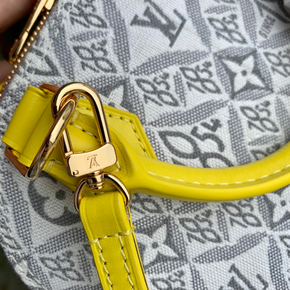 Louis Vuitton Alma BB