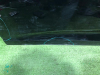 Дверь передняя левая Audi A6 5 C8 (2018-н.в.)