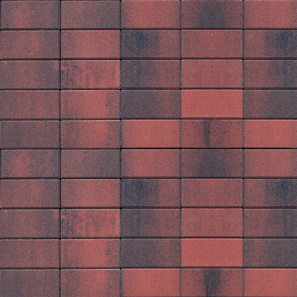 Тротуарная плитка ПРЯМОУГОЛЬНИК 200x100 мм - Листопад гладкий Клинкер