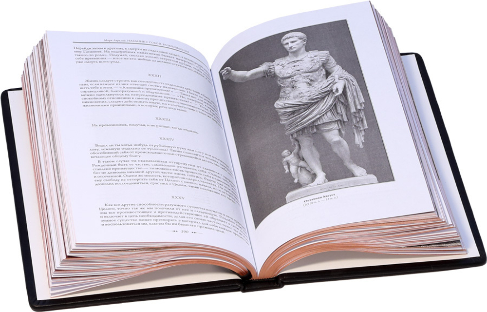 Наедине с собой. Размышления