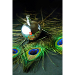 Спрей очищающий Gvibe Gjuice Toy Cleaner, антибактериальный, 60 мл