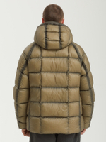 Мужской Пуховик In Dd-shell