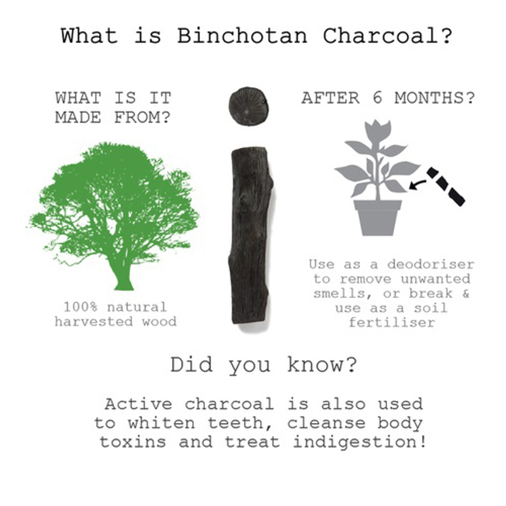 Графин с угольным фильтром black+blum, 1 л, стекло