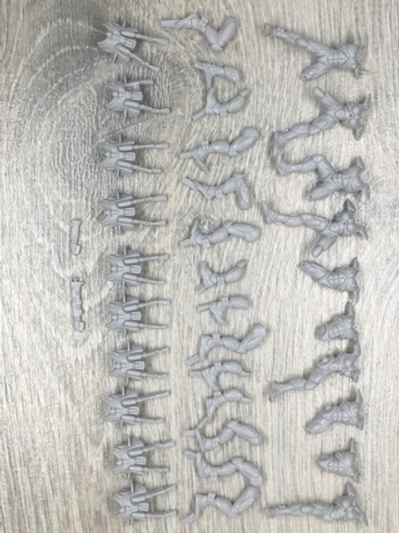 Bodies Guardian Defenders-Storm Guardians.