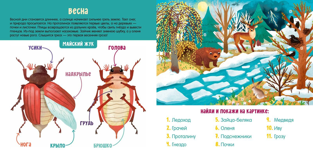 Времена года. Визуальный словарь