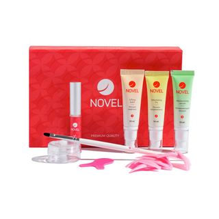 Novel