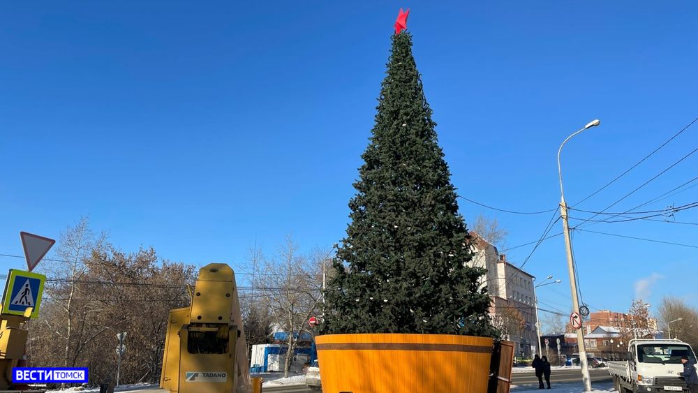 Уличная елка ствольная "Альпийская сосна" (леска) от 3 до 22 м