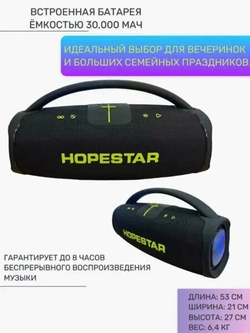 Портативная колонка HOPESTAR A65 300 Вт