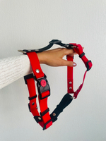 Шлейка для собак, Биотан, 25 мм , L размер ,средние и крупные породы, красный и черный