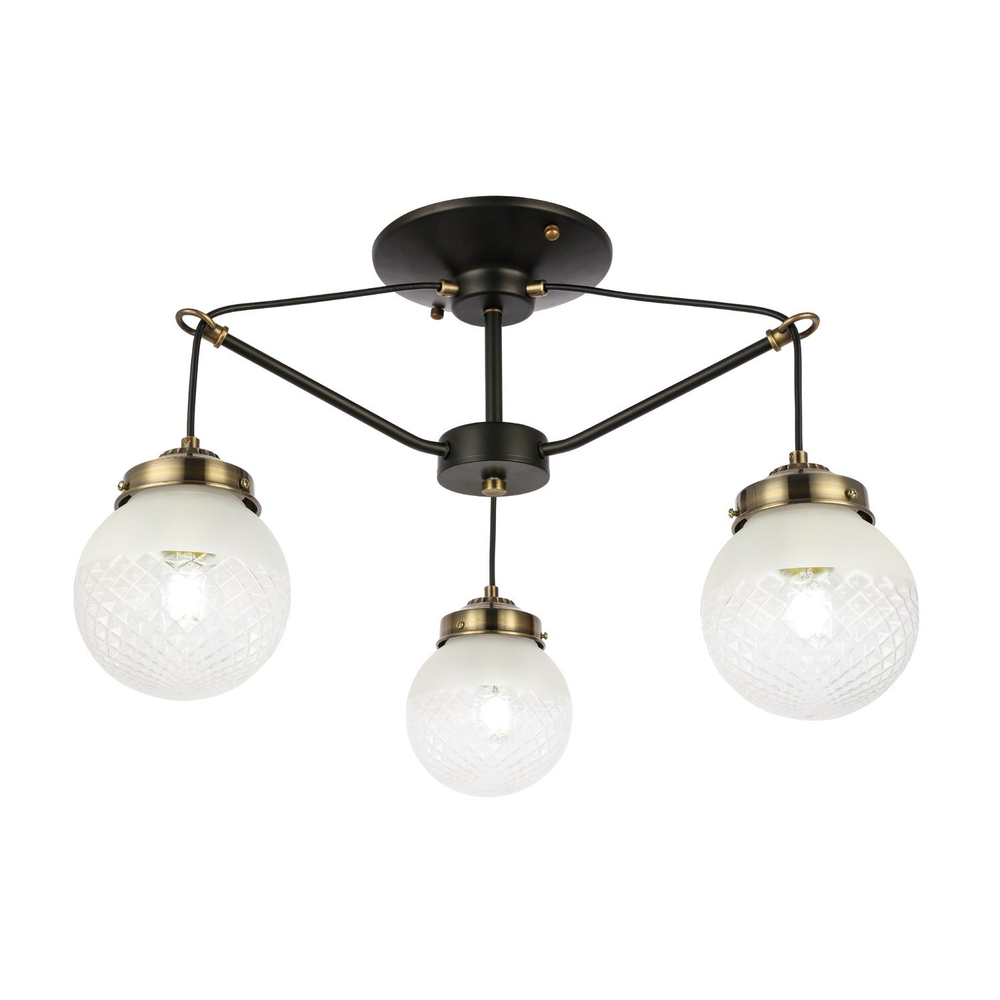 Светильник потолочный Evoluce Stricce SLE110302-03