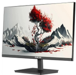 Монитор 23,8" RDW Computers 2401K/F00В3100V2A1H