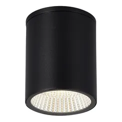 SL9514.412.01 Светильник уличный потолочный ST-Luce черный/белый LED 1*12W 3000K/4000K/6500K TUBO