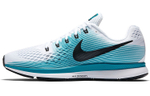 Nike Air Zoom Pegasus 34 Blustery