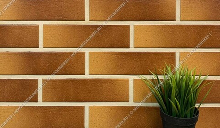 Paradyz Aquarius Brown - Плитка клинкерная фасадная 245x65