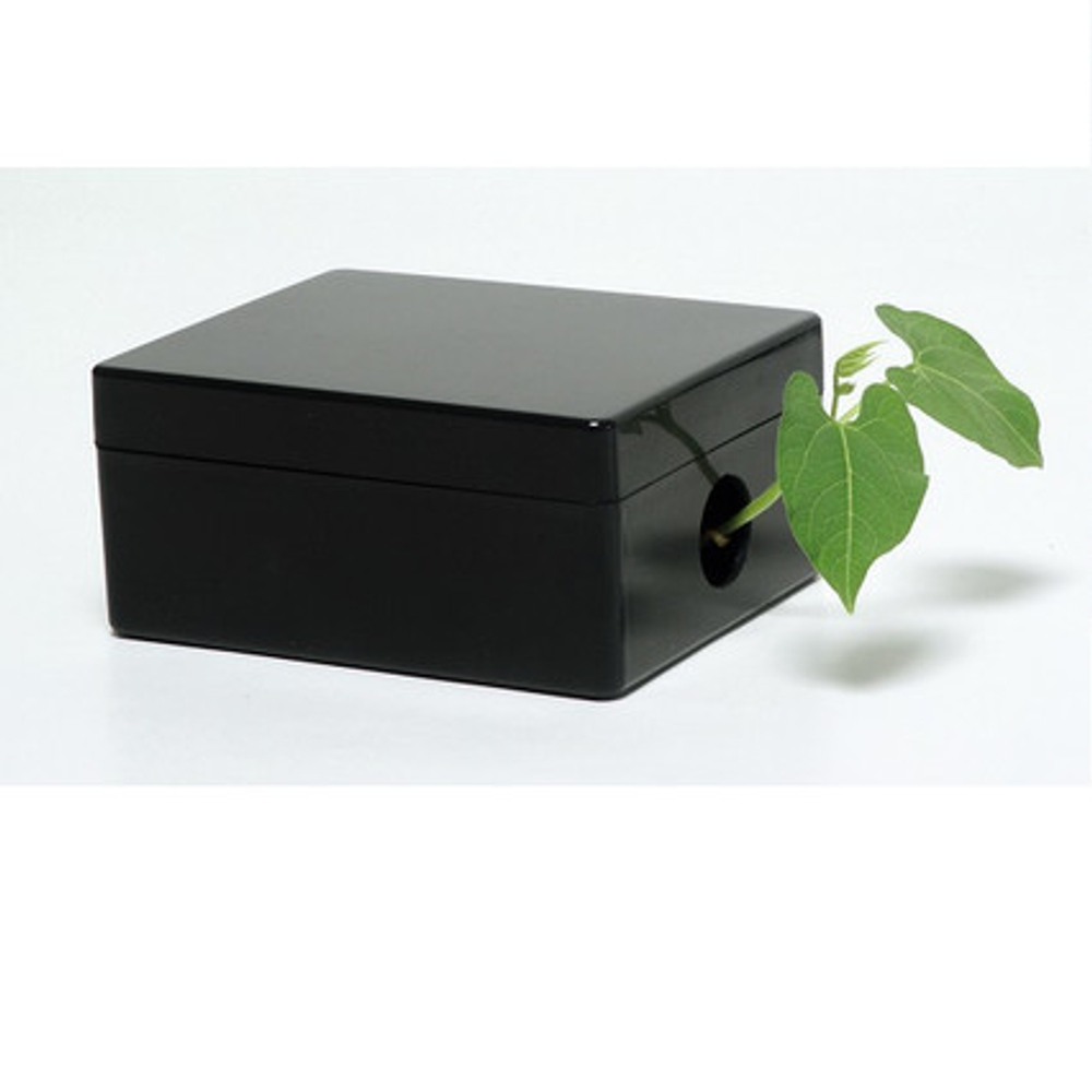 "От зародыша до взрослого растения" Комплект лабораторного оборудования