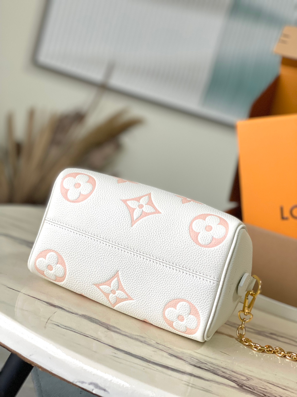 Louis Vuitton Speedy 20